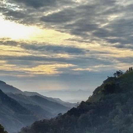New Ella Nature View Luaran gambar