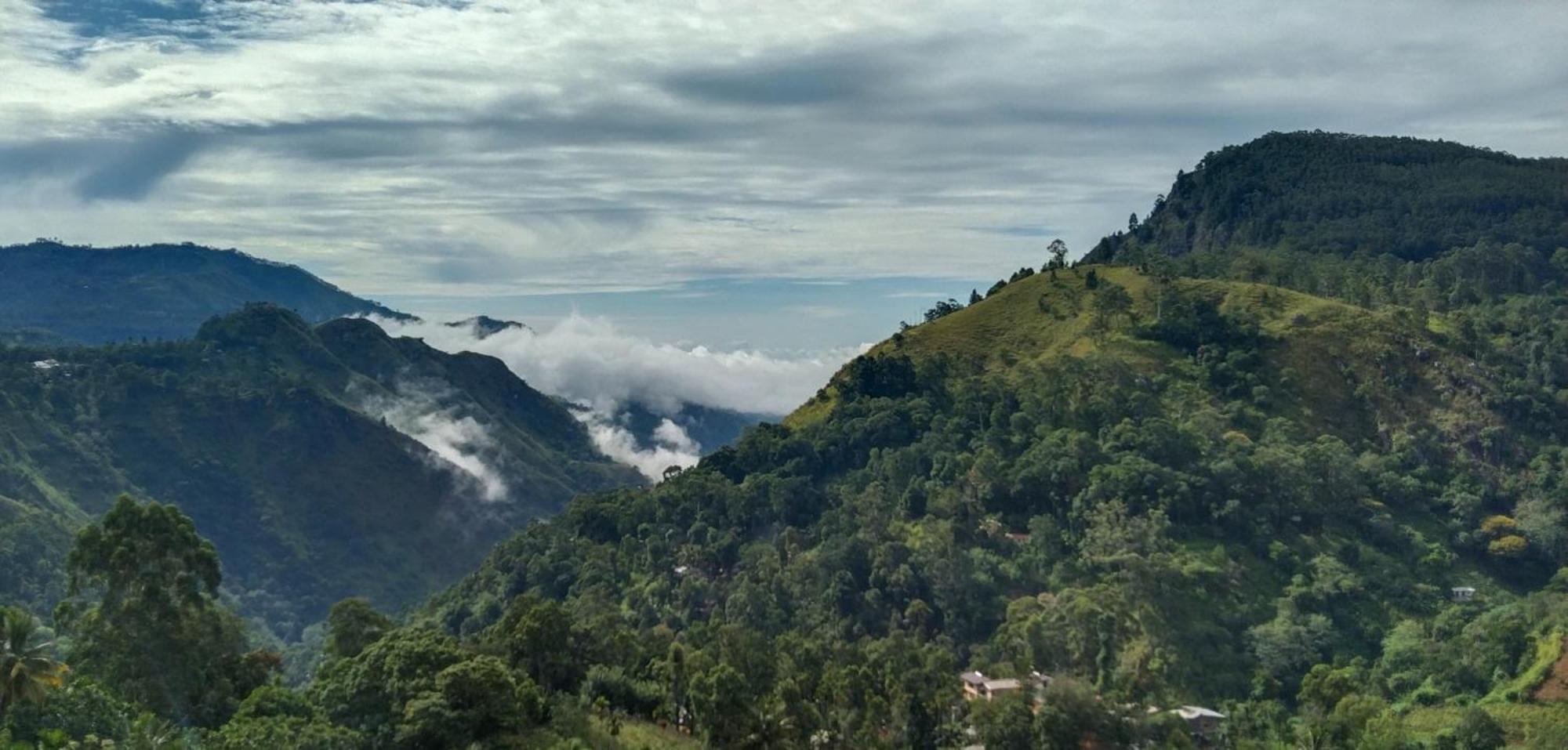 New Ella Nature View Luaran gambar